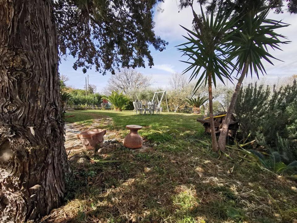 Bed & Breakfast Villa Flora Eredita 外观 照片